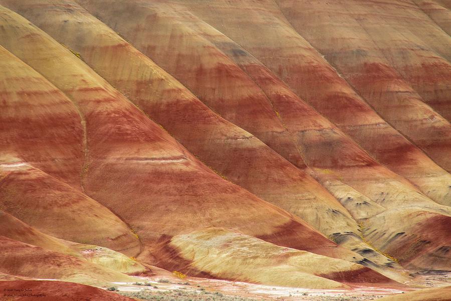 Painted Hills - Up Close And Personal - 3 Photograph by Hany J