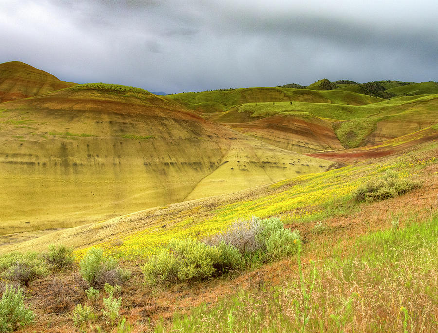 Painted Hills Weather Photograph by Jean Noren