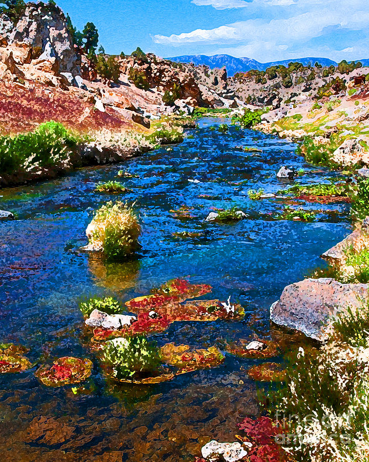 Painted Hot Creek Springs Photograph by Stephen Whalen