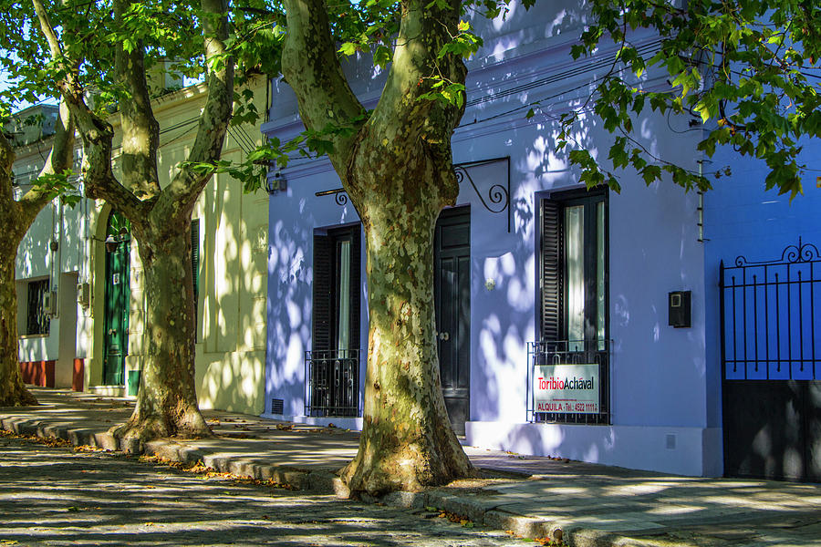 Painted Houses in Colonia del Sacramento Photograph by Venetia Featherstone-Witty