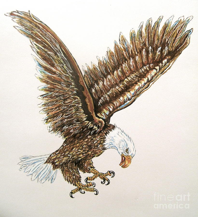 Painted Hungry Eagle Painting by Nancy Rucker