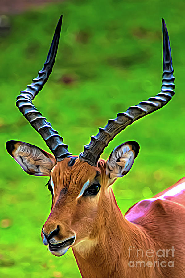 Painted Impala Digital Art by Ed Taylor