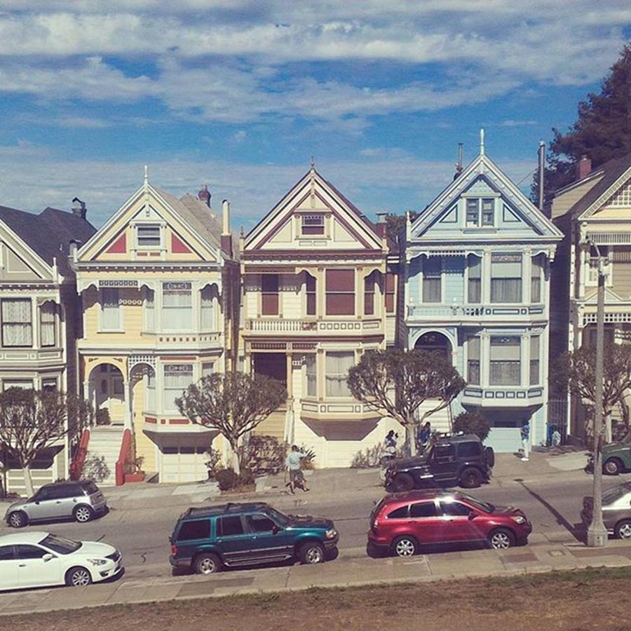 Holiday Photograph - Painted Ladies by Angie Nan