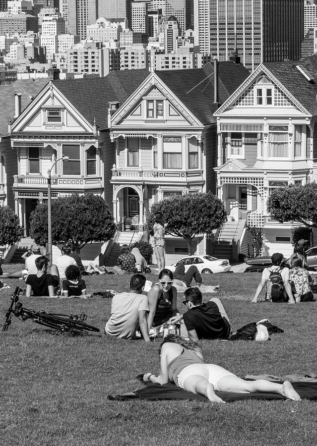 Painted Ladies BW Photograph by Ginger Stein