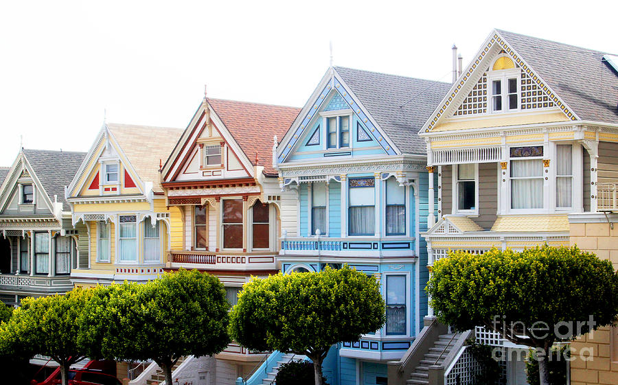 Painted Ladies from the Side Photograph by Cheryl Del Toro