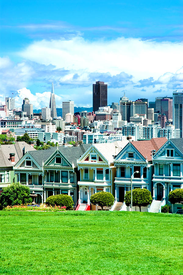Painted Ladies Photograph by Greg Fortier