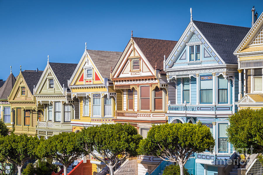 Painted Ladies Photograph by JR Photography
