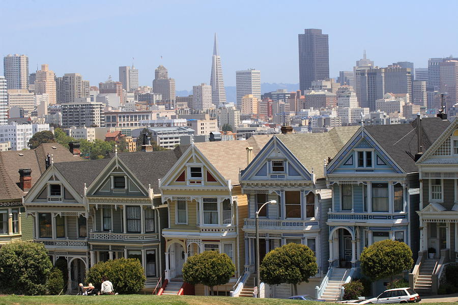 Painted Ladies Photograph by Lou Ford