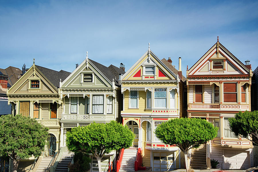 Painted Ladies Photograph by Raf Winterpacht