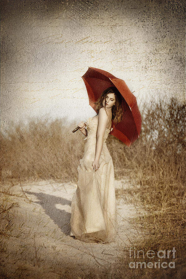 Painted Lady Mixed Media by Alissa Beth Photography