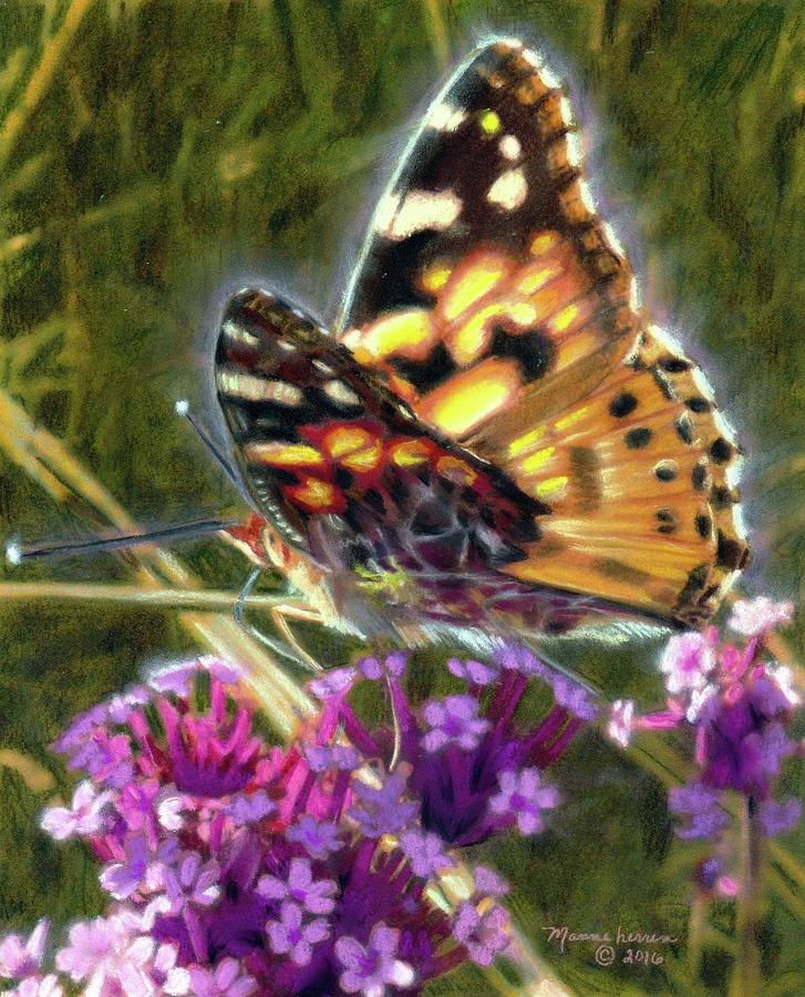 Painted Lady Pastel by Melissa Herrin