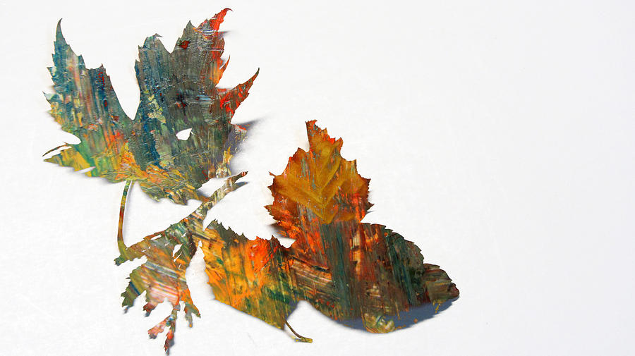 Painted Leaves Abstract 1 Photograph by Anita Burgermeister