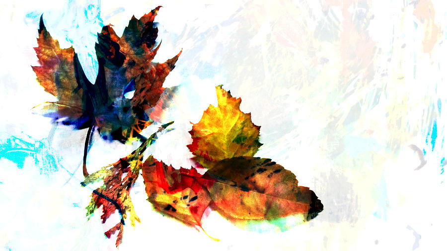 Painted Leaves Abstract 2 Photograph by Anita Burgermeister
