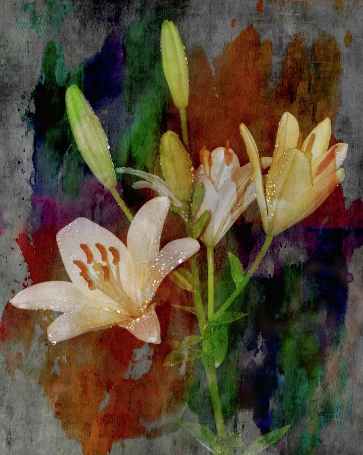 Painted Lilies Photograph by Sheri McLeroy
