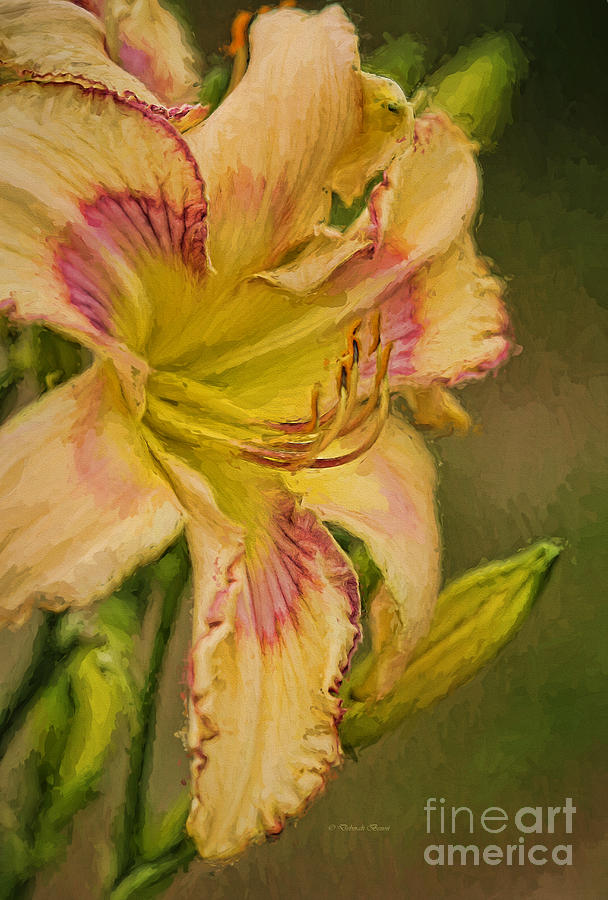 Painted Lilly Painting by Deborah Benoit