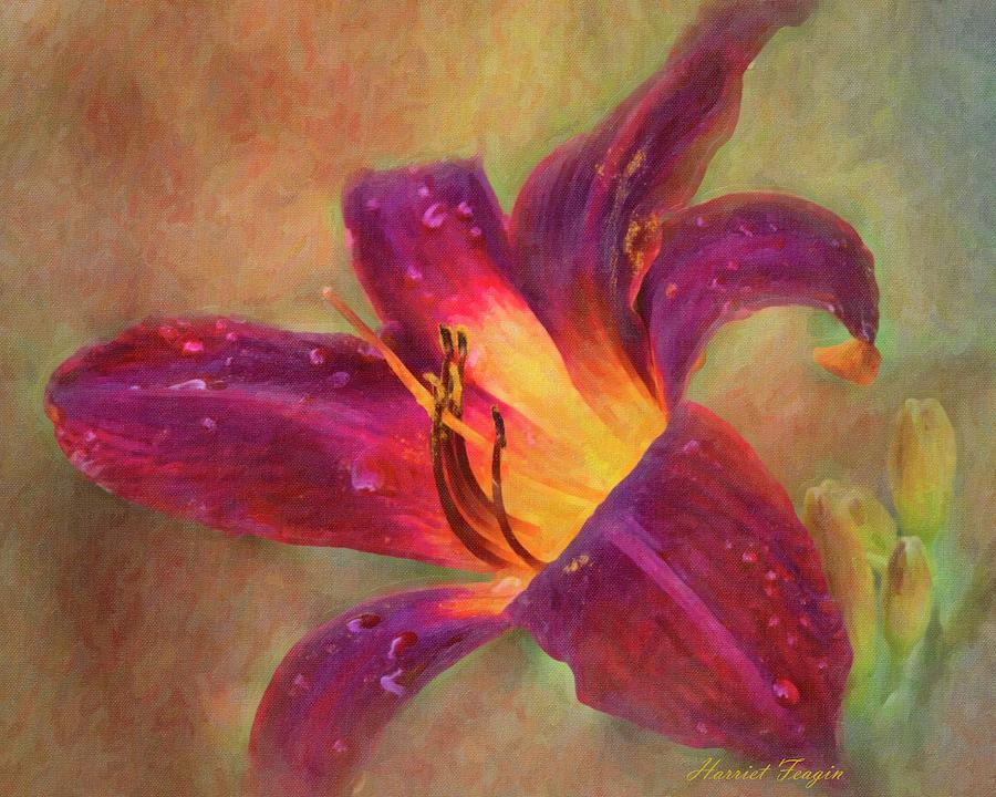 Painted Lily  Photograph by Harriet Feagin