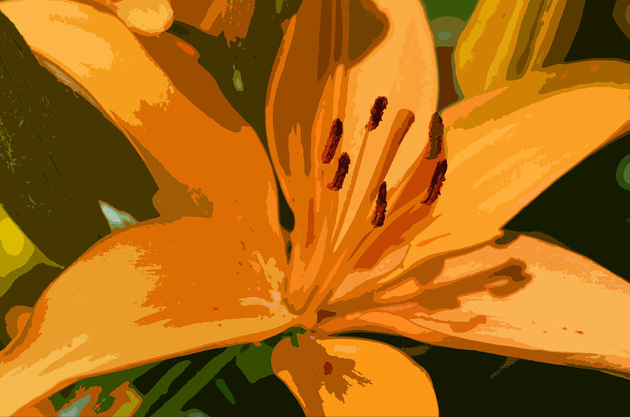 Painted Lily Photograph by Kathleen Stephens