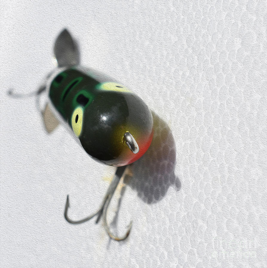 Painted Lil Buzz Bait Photograph by Skip Willits