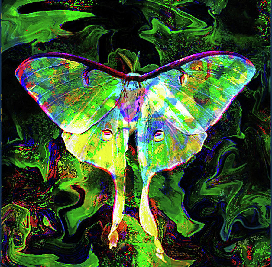 Painted Luna Moth Digital Art by Kathy Kelly