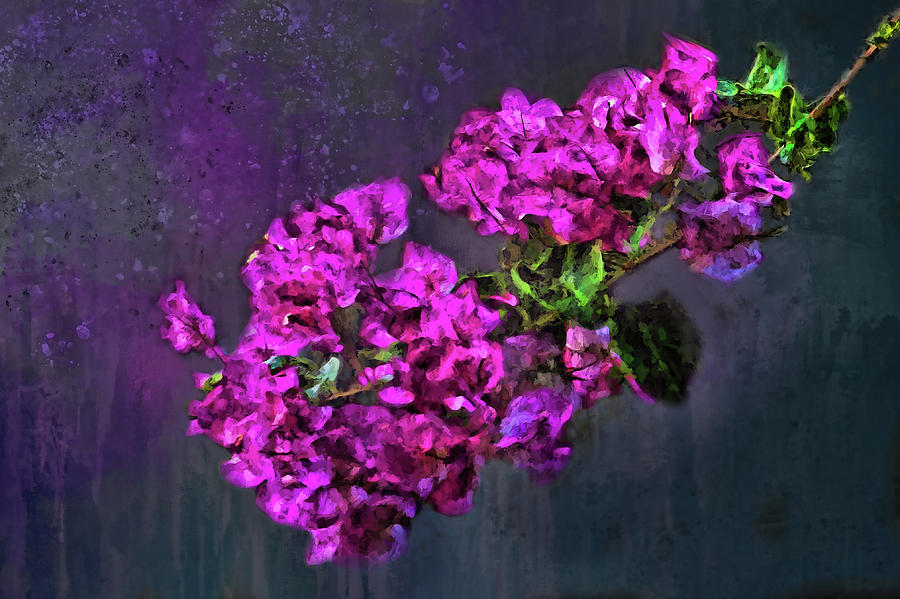 Painted Magenta Bougainvillea  Photograph by HH Photography of Florida