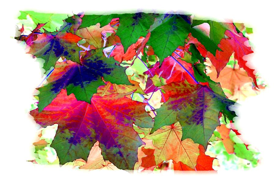 Painted Maple Leaves  Digital Art by Will Borden