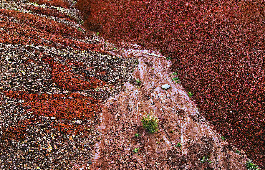 Painted Mudflow Photograph by John Christopher