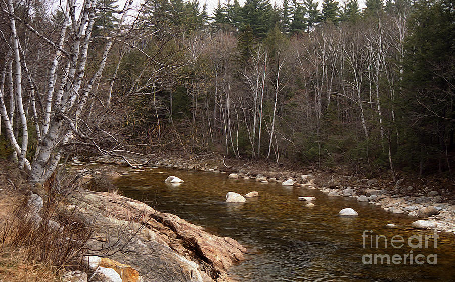 Painted New Hampshire Stream Photograph by Skip Willits