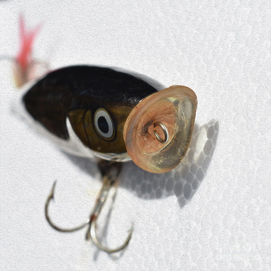 Painted Noisy Popper Photograph by Skip Willits