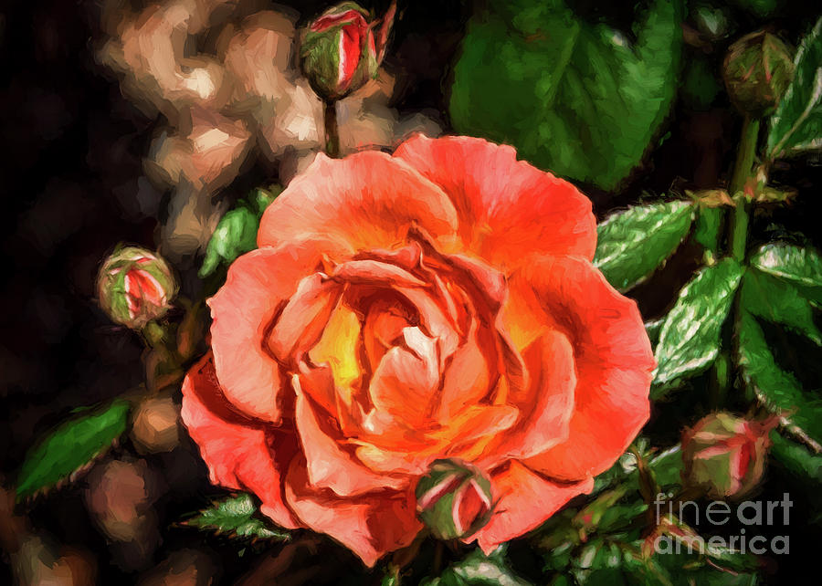 Painted Orange Rose Painting by Janice Pariza