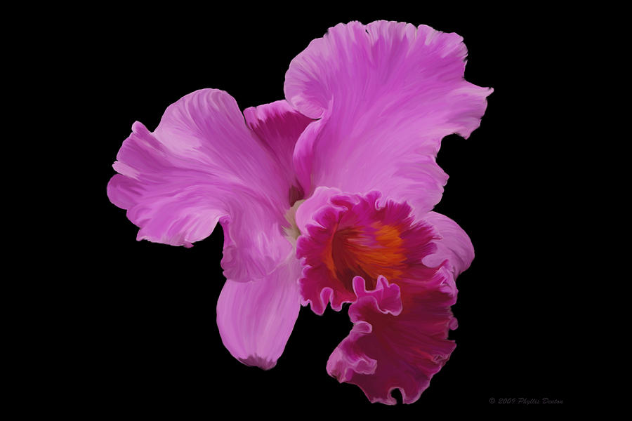 Painted Orchid Photograph by Phyllis Denton