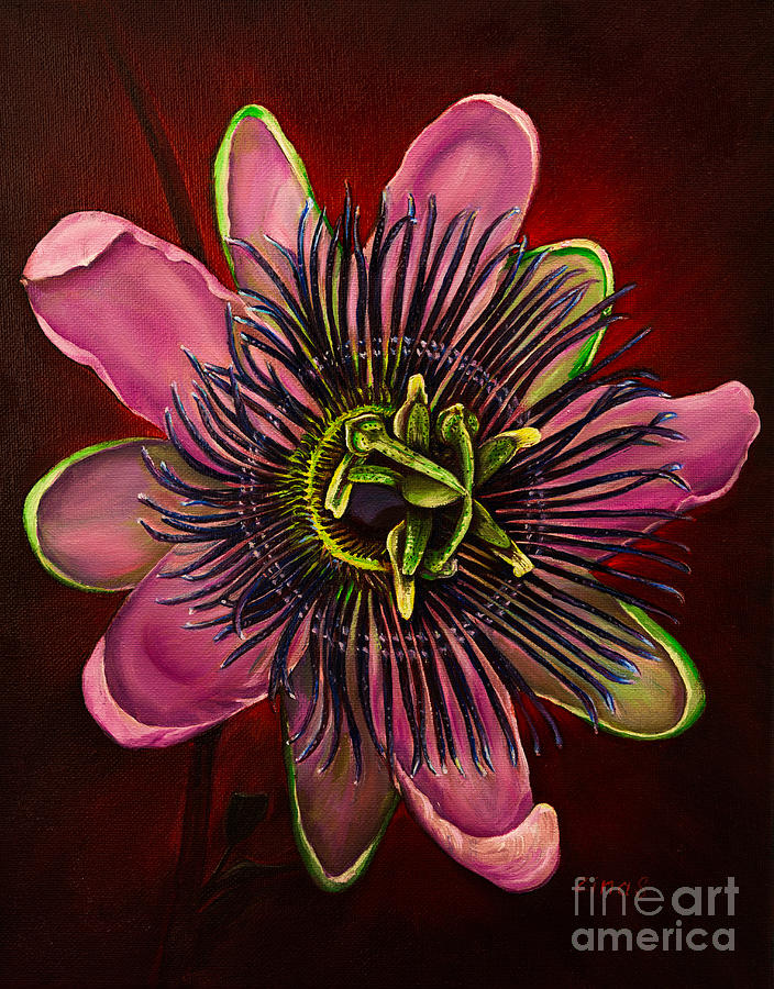 Painted Passion flower Painting by Zina Stromberg