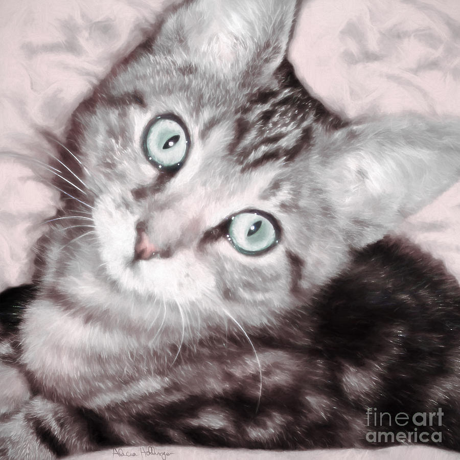 Pastel Bengal Kitten Digital Art by Alicia Hollinger