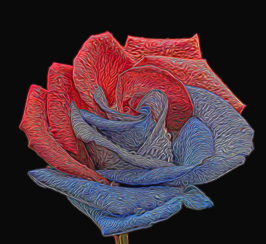 Rose Photograph - Painted Patriotic Rose by Judy Vincent