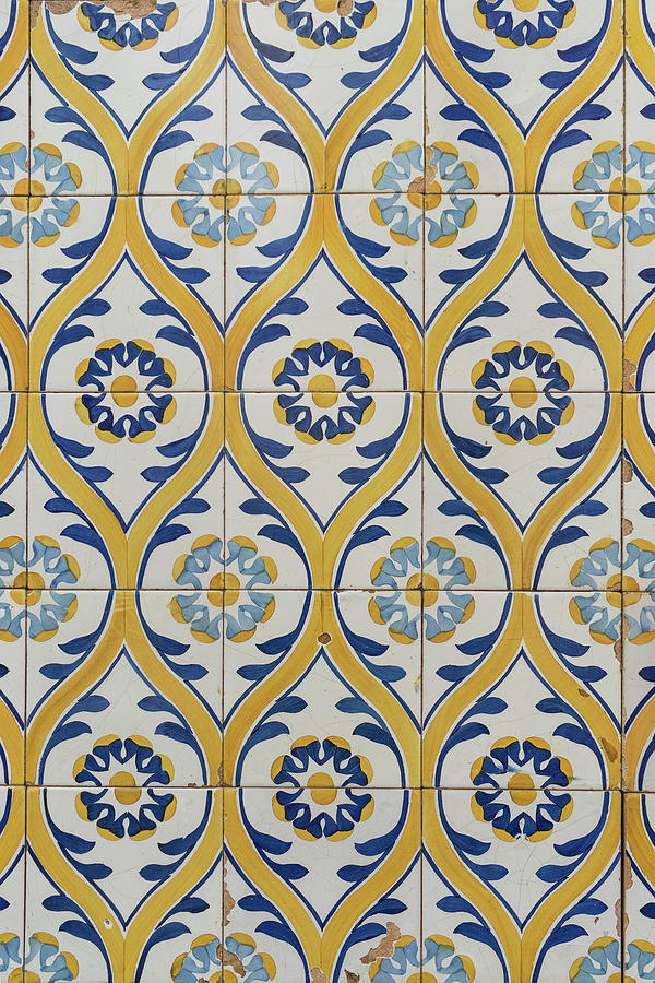 Painted Patterns - Azulejo Tiles in Blue and Yellow Photograph by Georgia Mizuleva