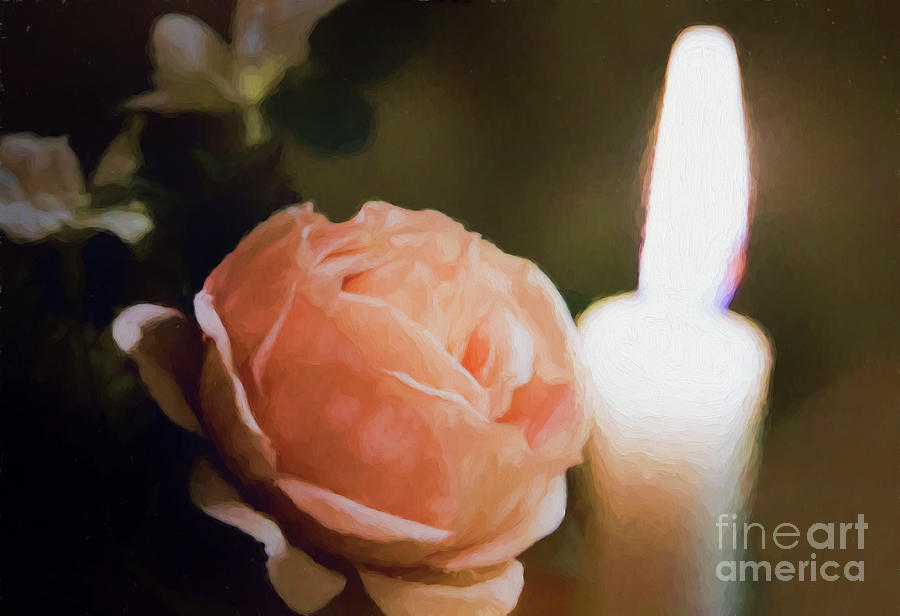 Painted Peach Rose with Candle Digital Art by Linda Phelps