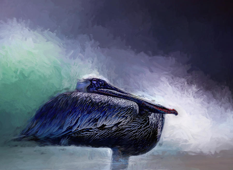 Painted Pelican Photograph by Morgan Wright