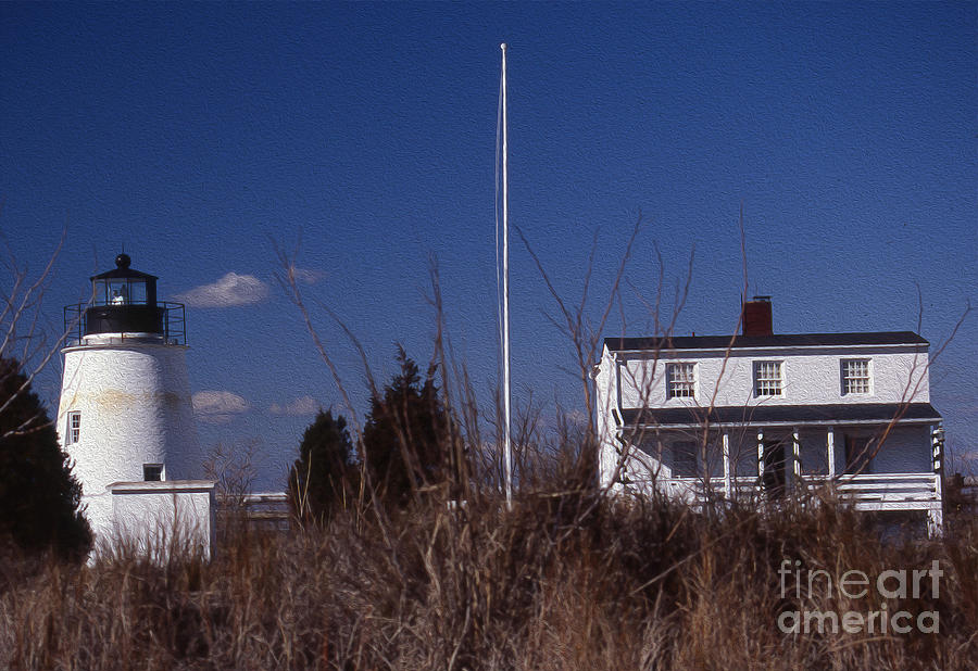 Lighthouse Photograph - Painted Piney Point Lighthouse by Skip Willits