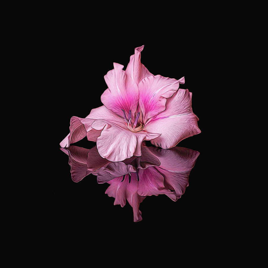 Painted Pink Alstromeria Digital Art by Michelle Whitmore