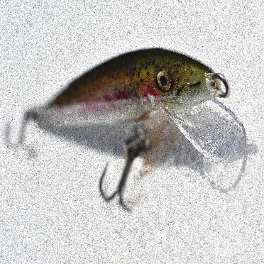 Painted Rainbow Trout Lure Photograph by Skip Willits