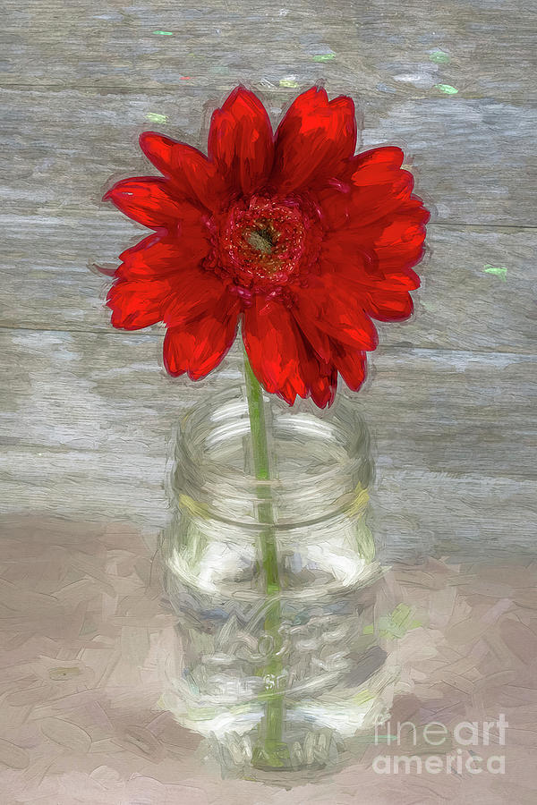 Painted Red Daisy Photograph