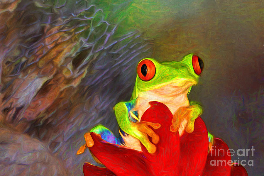 Painted Red Eyed Tree Frog Photograph by Mary Lou Chmura
