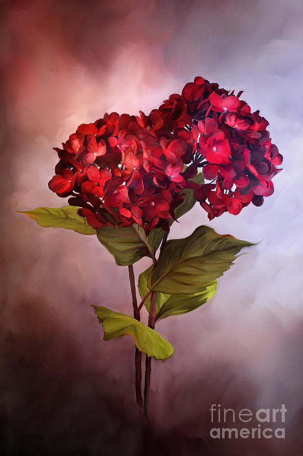 Painted Red Hydrangeas Photograph by Stephanie Frey