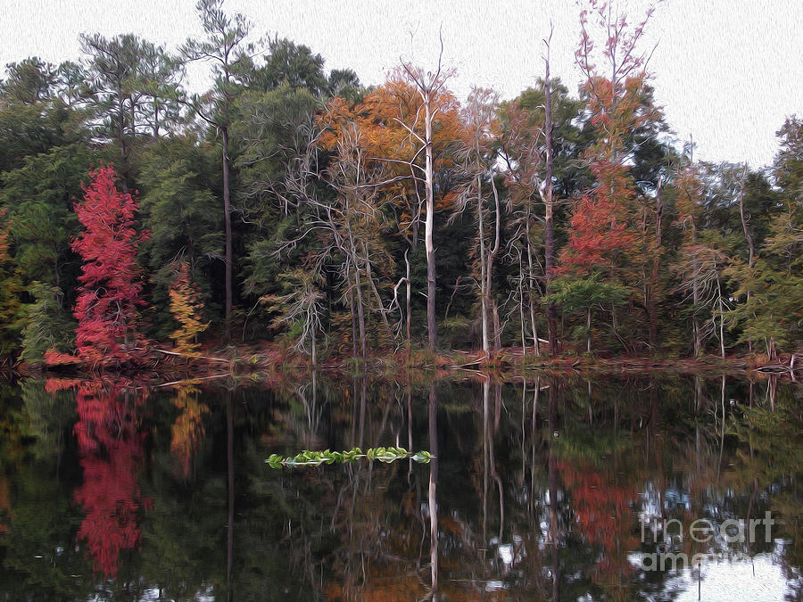 Painted Reflections On A Small Pond Photograph by Skip Willits