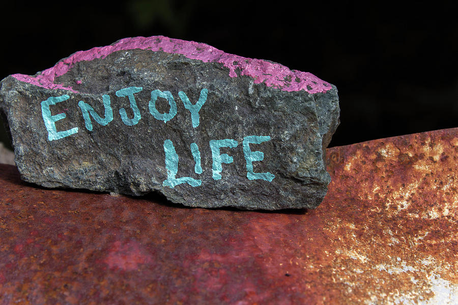Painted Rock Photograph by Misty Tienken