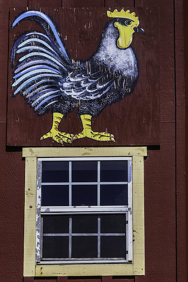 Barn Photograph - Painted Rooster by Garry Gay