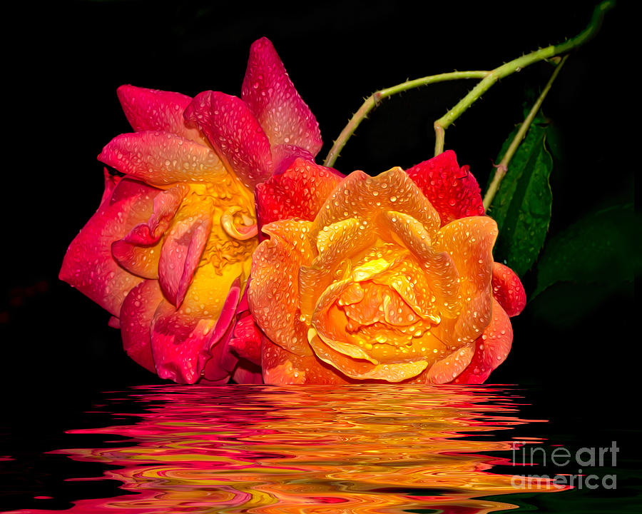 Painted Roses In Dreamy Water Photograph by Mimi Ditchie