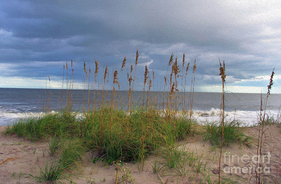 Painted Sea Oats In The Storm Photograph by Skip Willits
