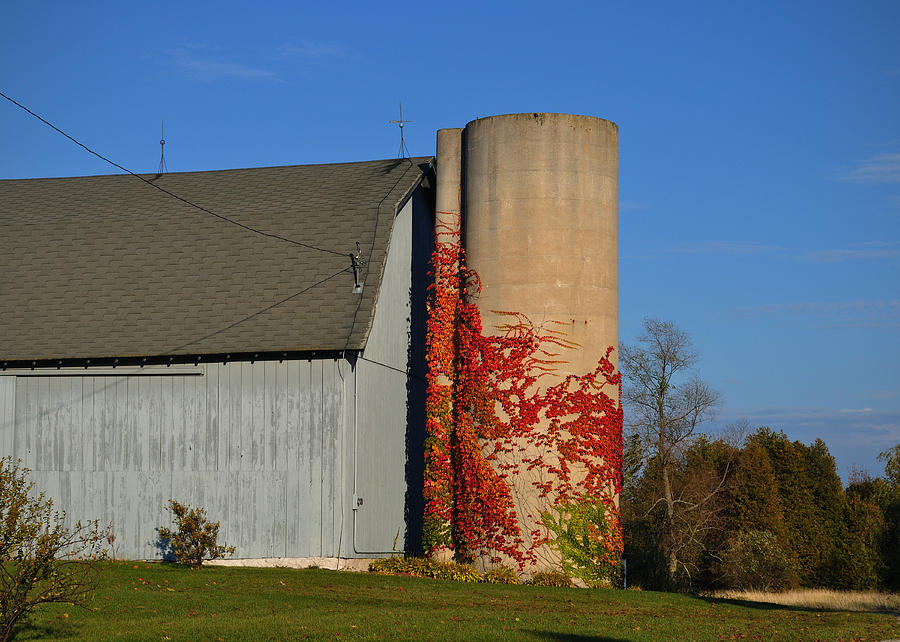 Painted Silo Photograph by Tim Nyberg
