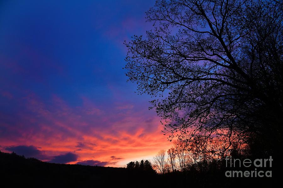 Sunset Photograph - Painted Sky by Julie Street
