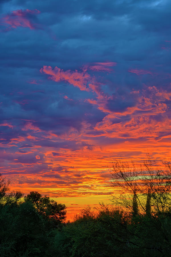 Painted Sky V50 Photograph by Mark Myhaver